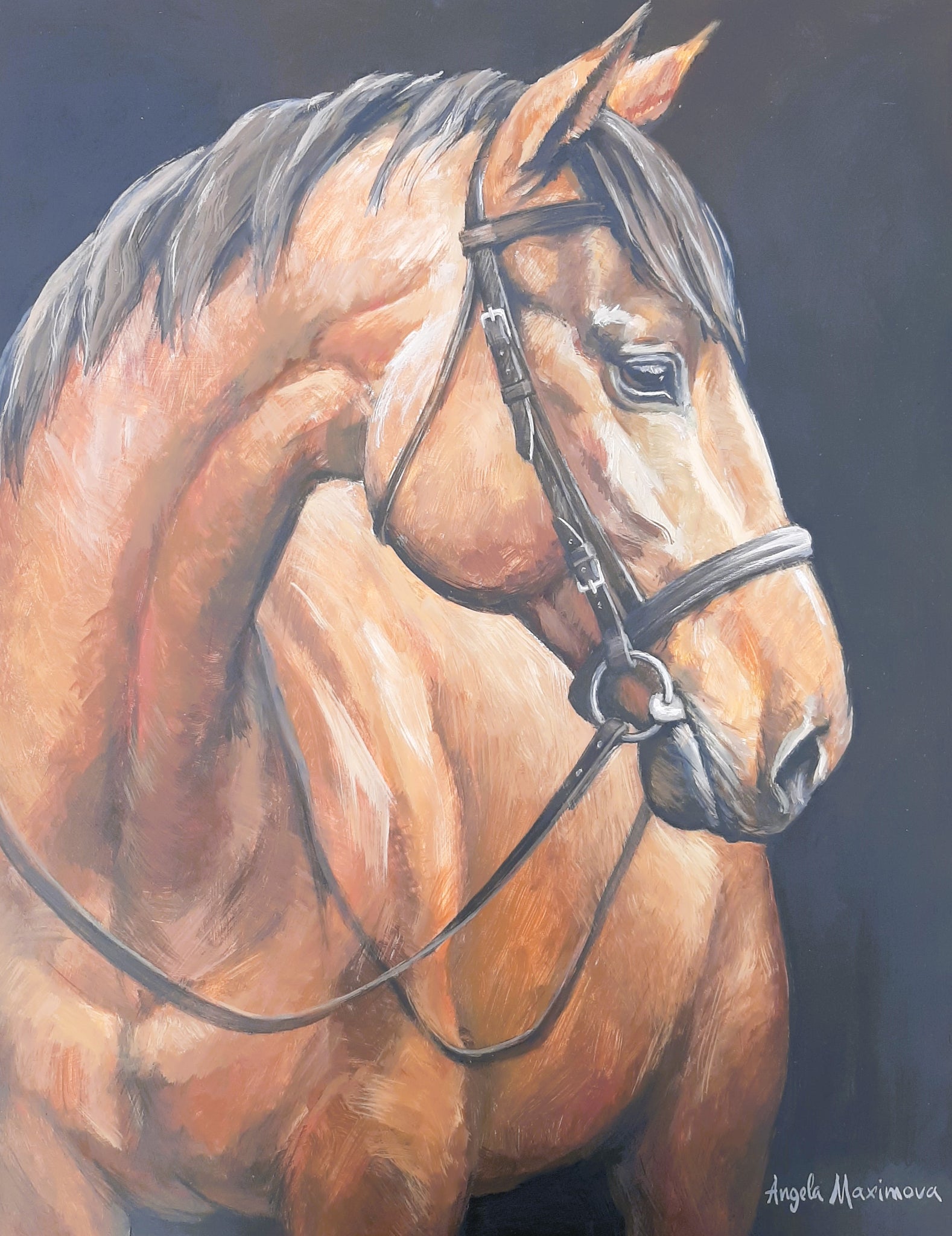 Angela Maximova "Willow" Study of a horse