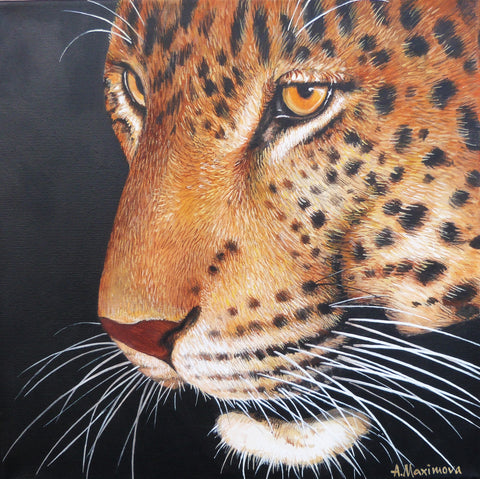 Angela Maximova "Cheetah Head Study"