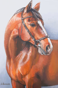 Angela Maximova - "Blaze" Study of a horse