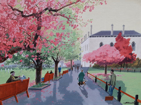 John Francis Skelton - "Spring Cherries and Cricket". Trinity College Dublin