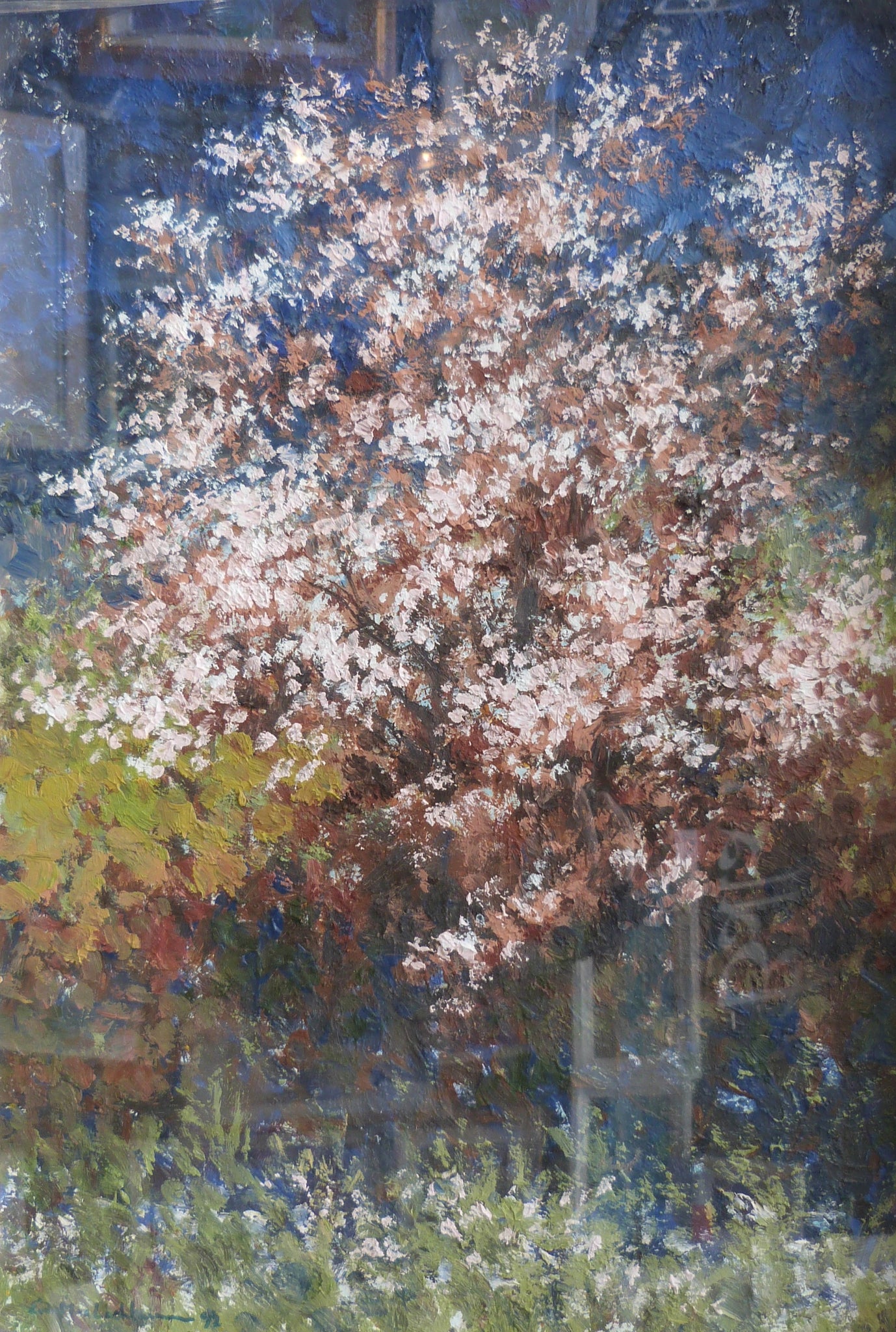 Miscellaneous - Other Artists - Eoin Mac Lochlainn "Trees in bloom"