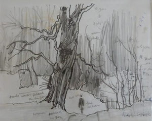 John Skelton "Forest Walk Study" with handwritten notes