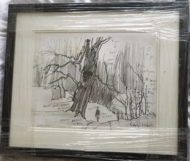 John Skelton "Study of an old tree"