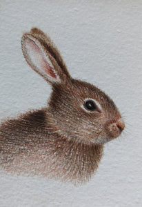 Minature - E Peters - Rabbit