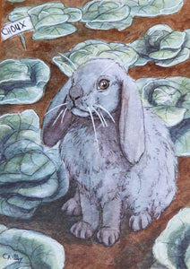 Minature - Svetlana Ledneva Schukina - "Cabbage Patch Bunny"