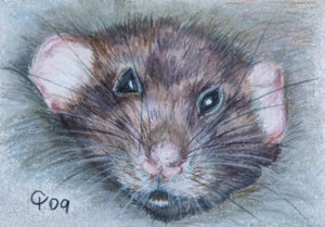 Minature - Artust Unknown "Coloured Rat"