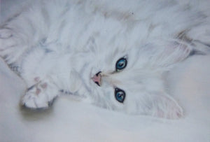 Minature - Artist Unknown "White Kitten"