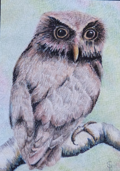 Minature - Sue Page "Serendib Scops Owl"