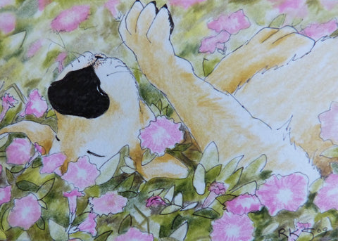 Minature - Roselea K Smith "Flower Bed"