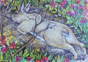 Minature - -T M Root "Rabbit Trail"